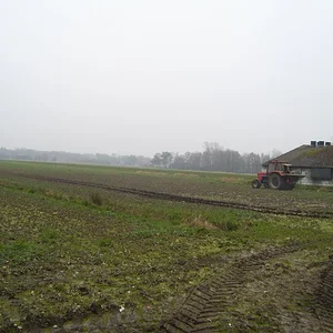 Kunstdünger streuen