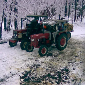 Holzmachen 02.02.2008