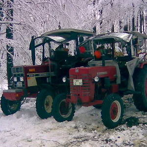 Holzmachen 02.02.2008