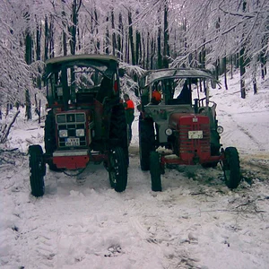 Holzmachen 02.02.2008
