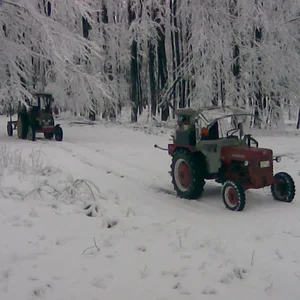 Holzmachen 02.02.2008