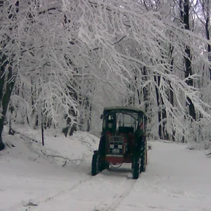 Holzmachen 02.02.2008