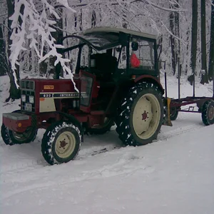 Holzmachen 02.02.2008