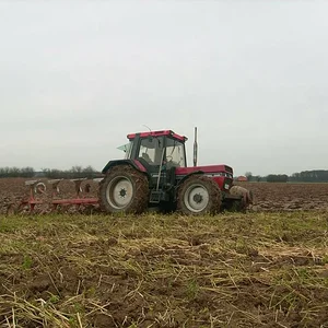 956 XLA