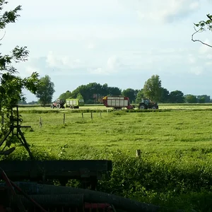 silofahren 2007
