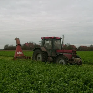 Case 956 XLA