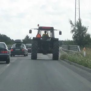 956 in dänemark