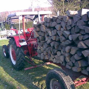 Beim Holzaufladen
