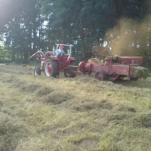 353Holger