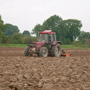 Case 956 Formel V