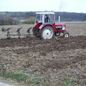 Pflügen 2007