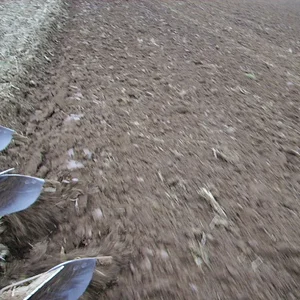 Pflügen 2007