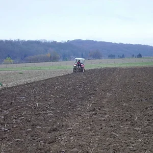 Pflügen 2007