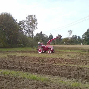 353Holger