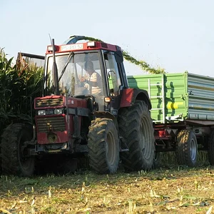 Case 844XL bei der Maisernte