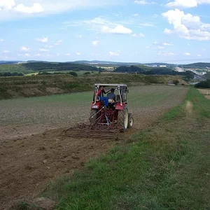 Unser Großer beim eggen