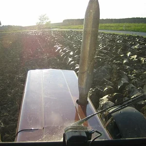 Pflügen für Raps 2007