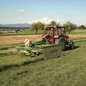 IHC mit KS Krone