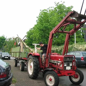 Badner633
