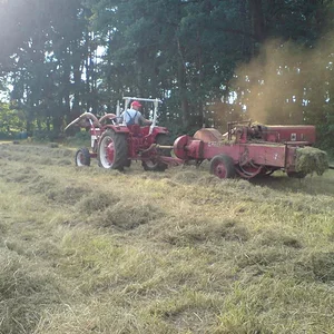 353Holger