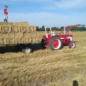 353Holger