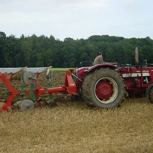 624Beni