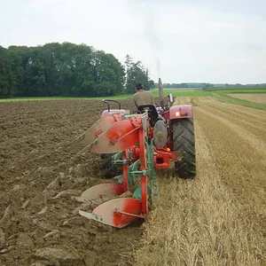 624 Beni