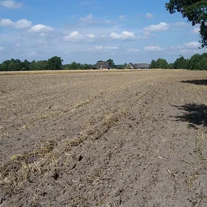 das sind gute 2,5 ha