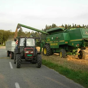 Ernte 07