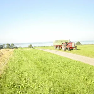 624 Beni