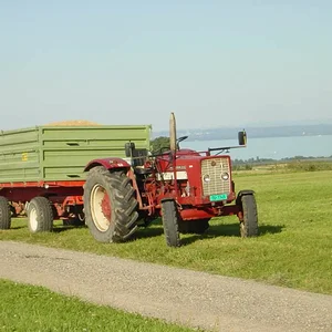 624 Beni