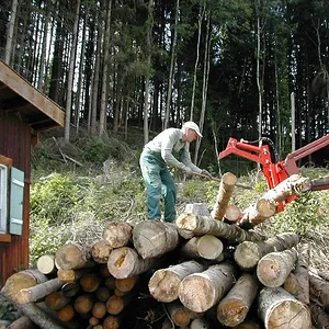 Brennholzarbeiten