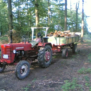 Holly326