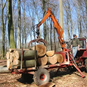 woodcutter