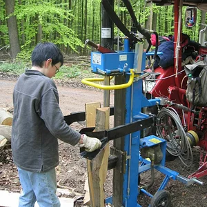 Ich beim Holzspalten