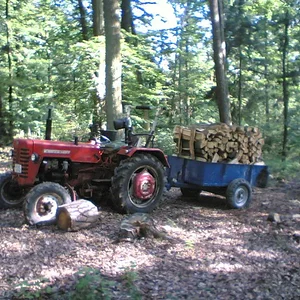 Holly326