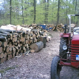Holly326