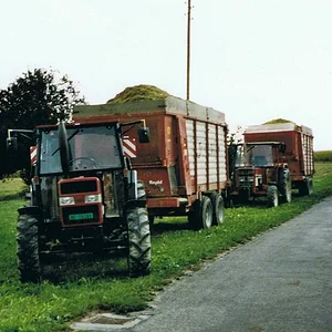 Maisernte