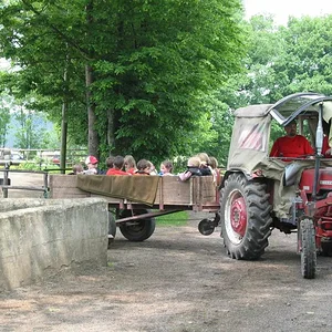 Ewald