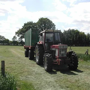 1246er