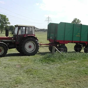 1246er
