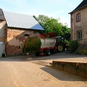 Falko
