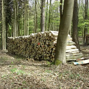 Matthias-IH353