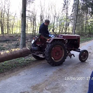 Dieter