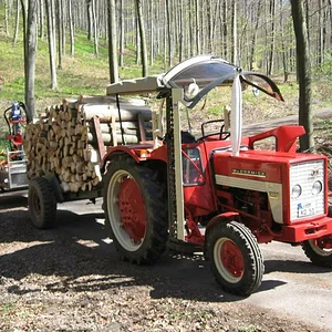 Holz holen bei bestem Wetter.