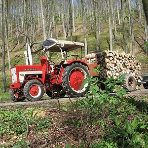 Holz holen bei bestem Wetter.