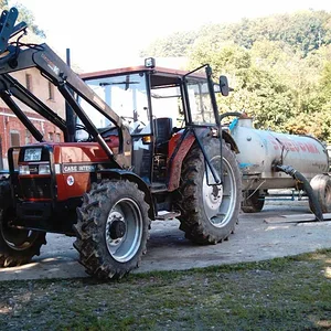 IHC 955