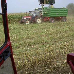 Silieren 2006