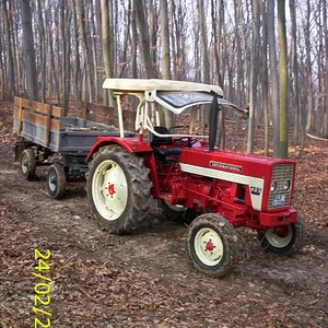 bulldog423