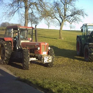 IHC 955